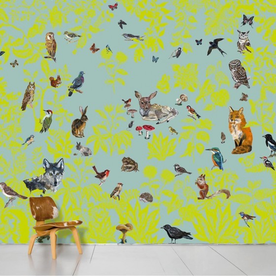 Crazy beautiful essay 06 picture