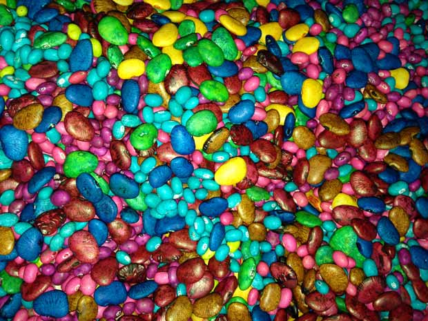 colored_beans_sensory_objects