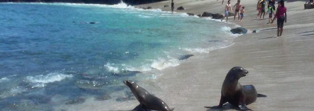 3 Top, Free Things to Do with Kids in San Diego