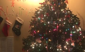 Merry Christmas from Bellissima Kids!
